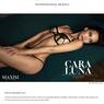 Splendide-News-1804-online