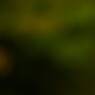 C01